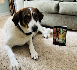 A rescue dog lying beside a copy of When Opportunity Knocks